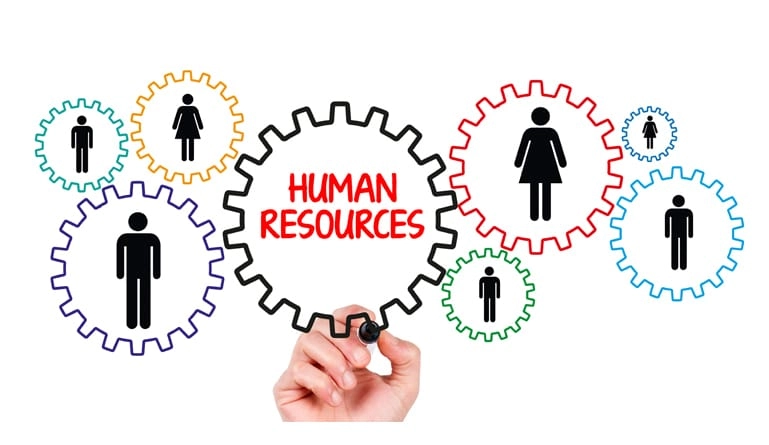 What Is Human Resource Management